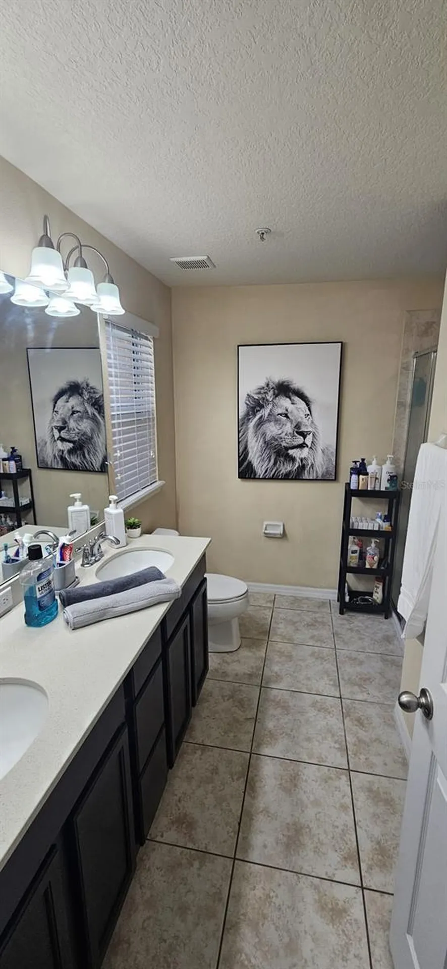 9637 Silver Buttonwood Street Orlando FL 32832