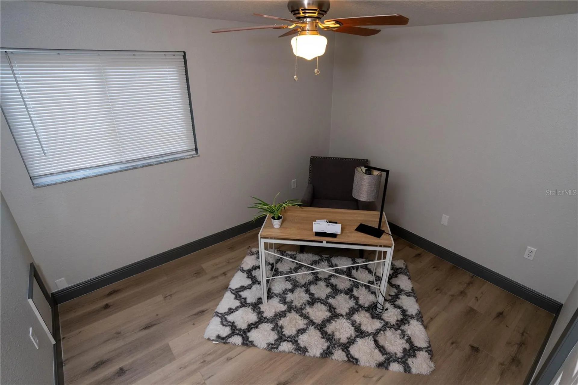 2908 Edenwood Street Clearwater FL 33759