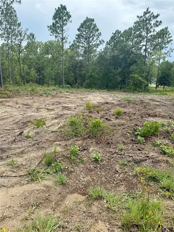 Tbd NE 151st Terrace Williston FL 32696