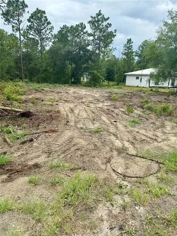 Tbd NE 151st Terrace Williston FL 32696