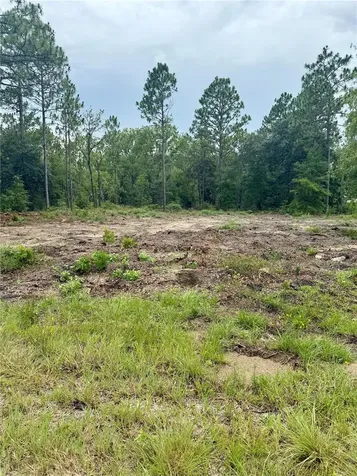Tbd NE 151st Terrace Williston FL 32696