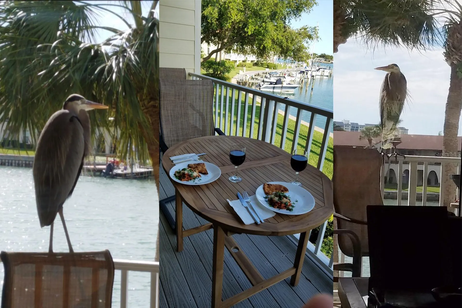 459 Haven Point Drive Treasure Island FL 33706