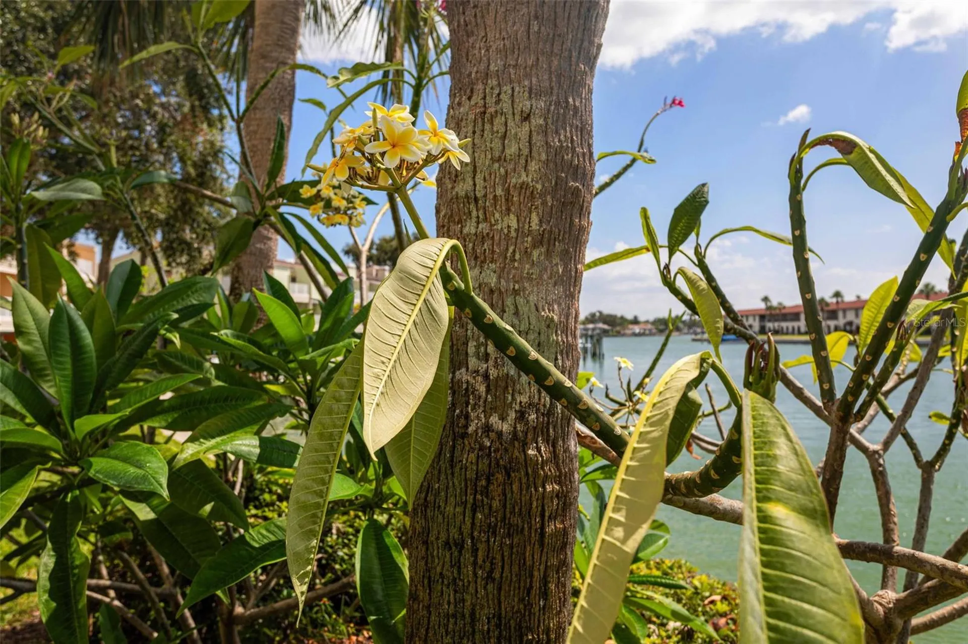459 Haven Point Drive Treasure Island FL 33706
