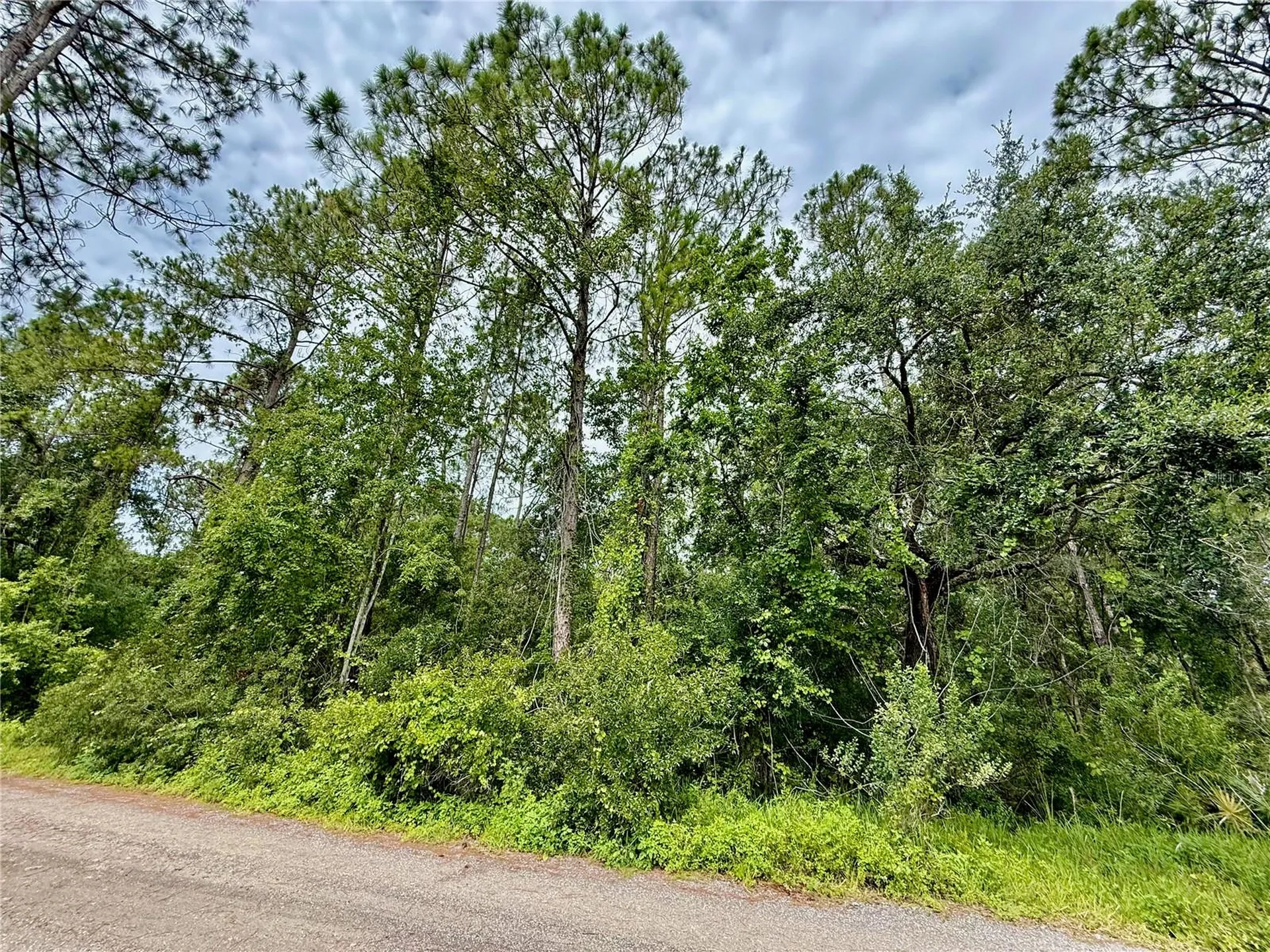 Westpoint Drive Wesley Chapel FL 33544
