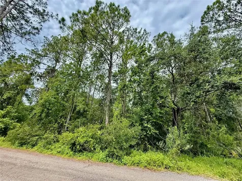 Westpoint Drive Wesley Chapel FL 33544