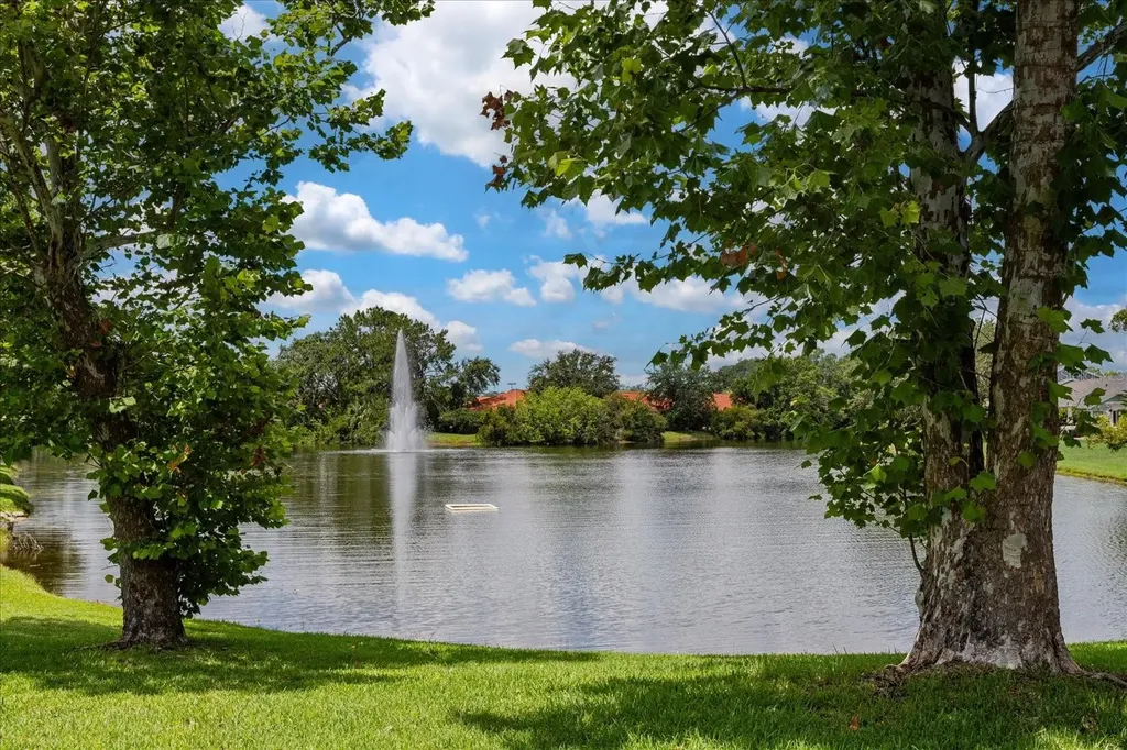 7728 Balharbour Drive New Port Richey FL 34653