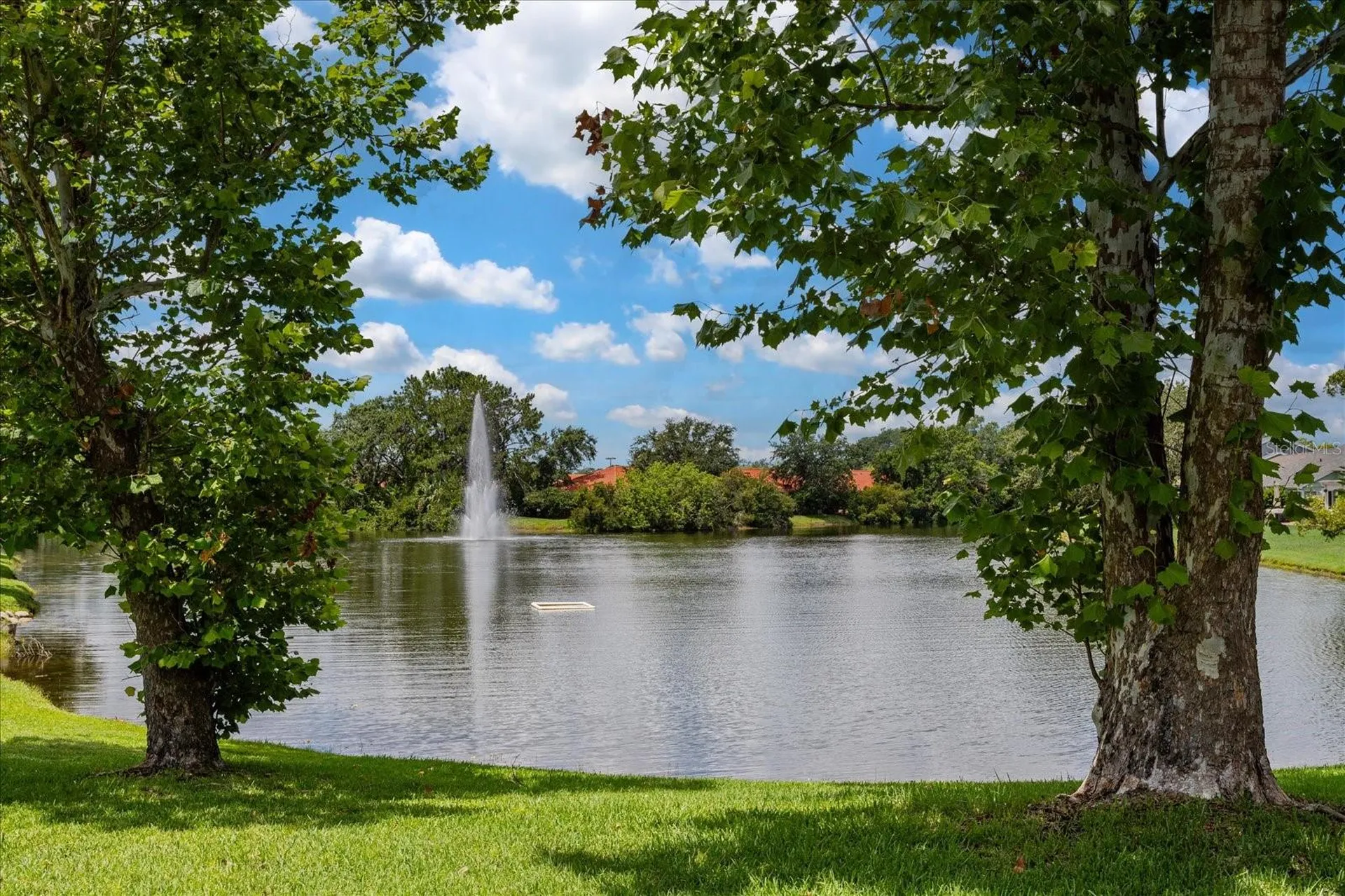7728 Balharbour Drive New Port Richey FL 34653
