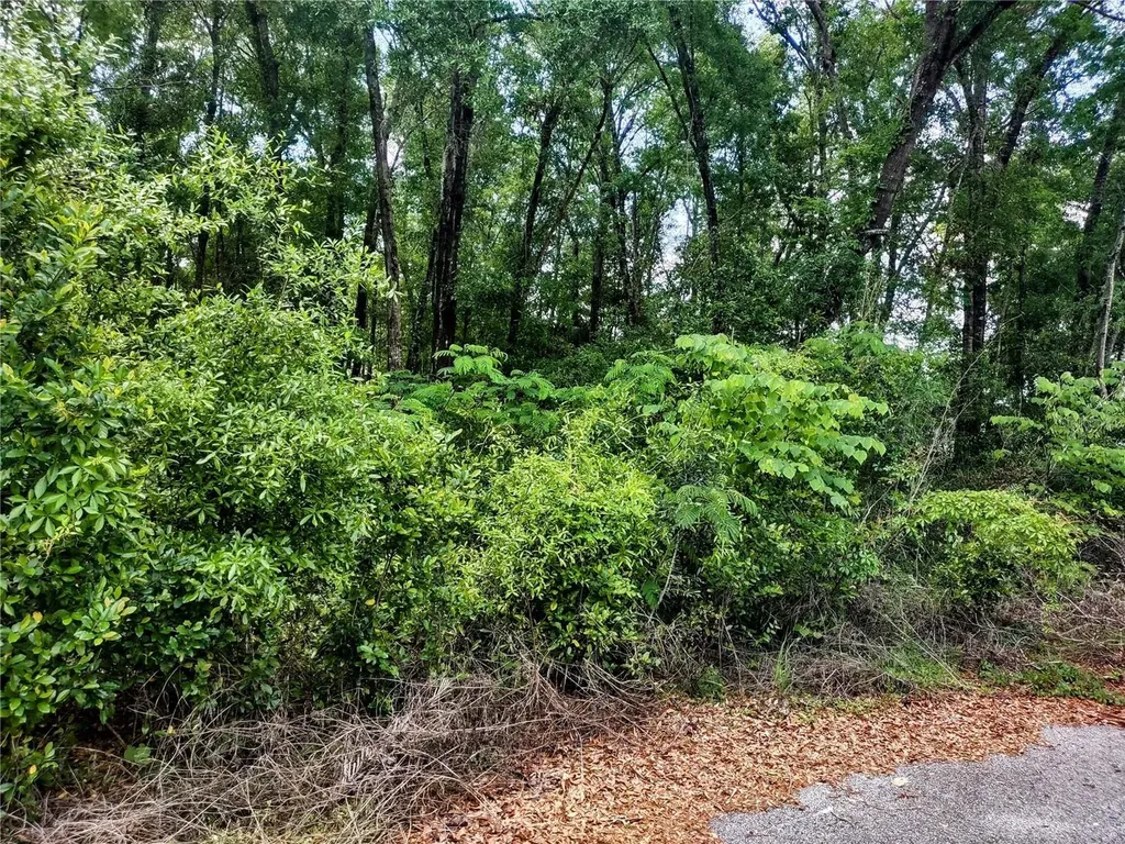 Tbd NE 6th Circle Williston FL 32696