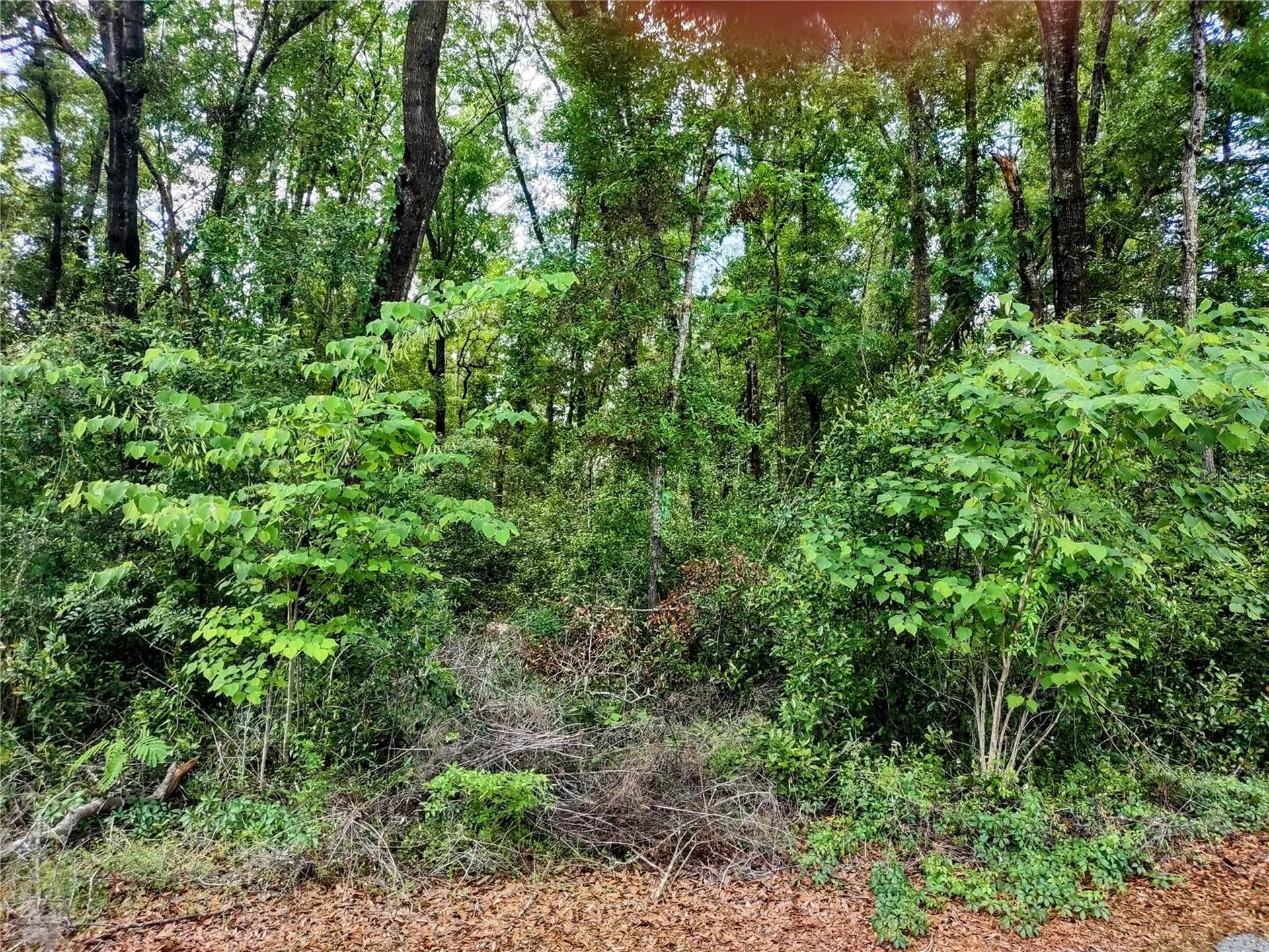 Tbd NE 6th Circle Williston FL 32696