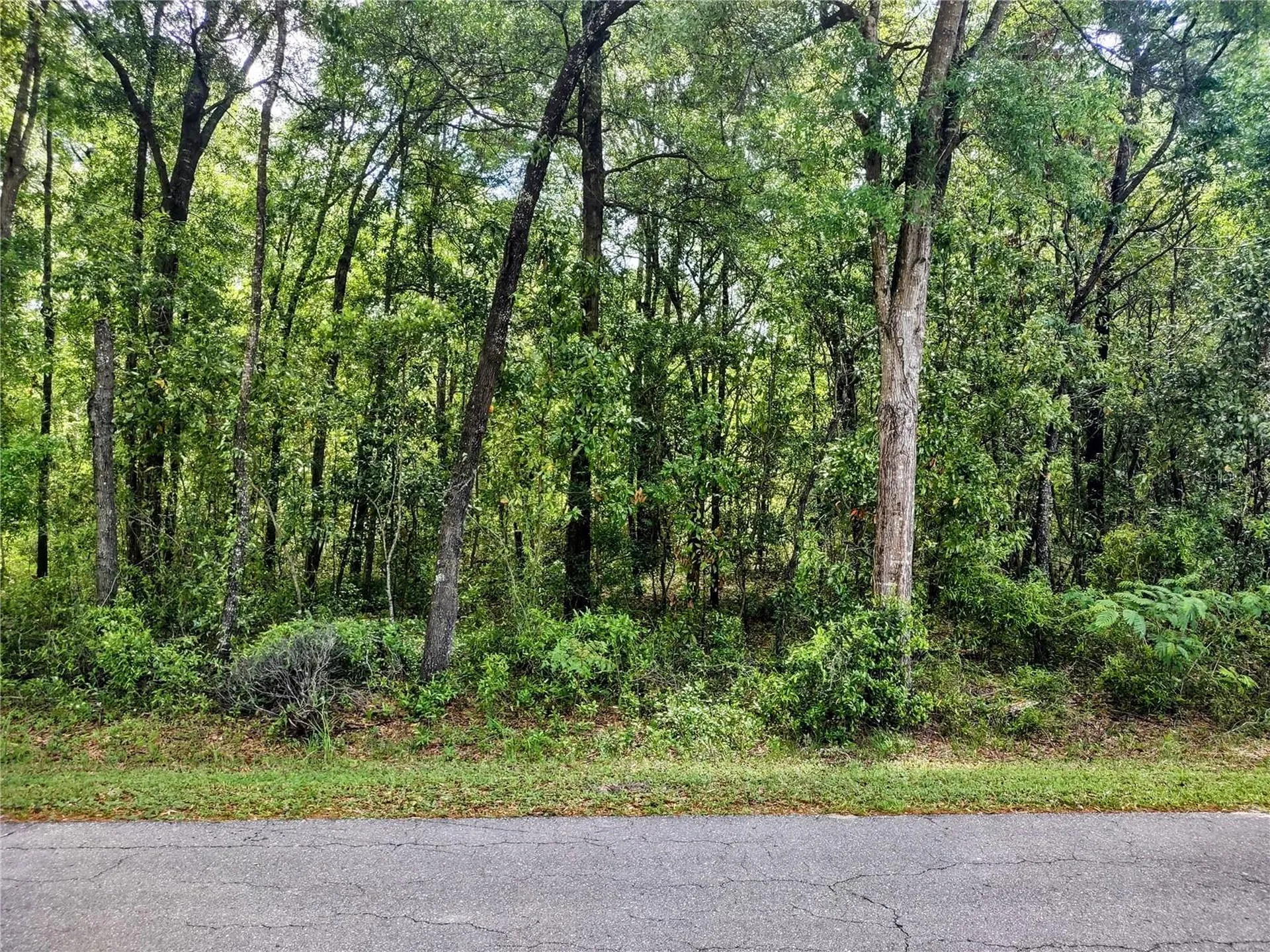 Tbd NE 6th Circle Williston FL 32696