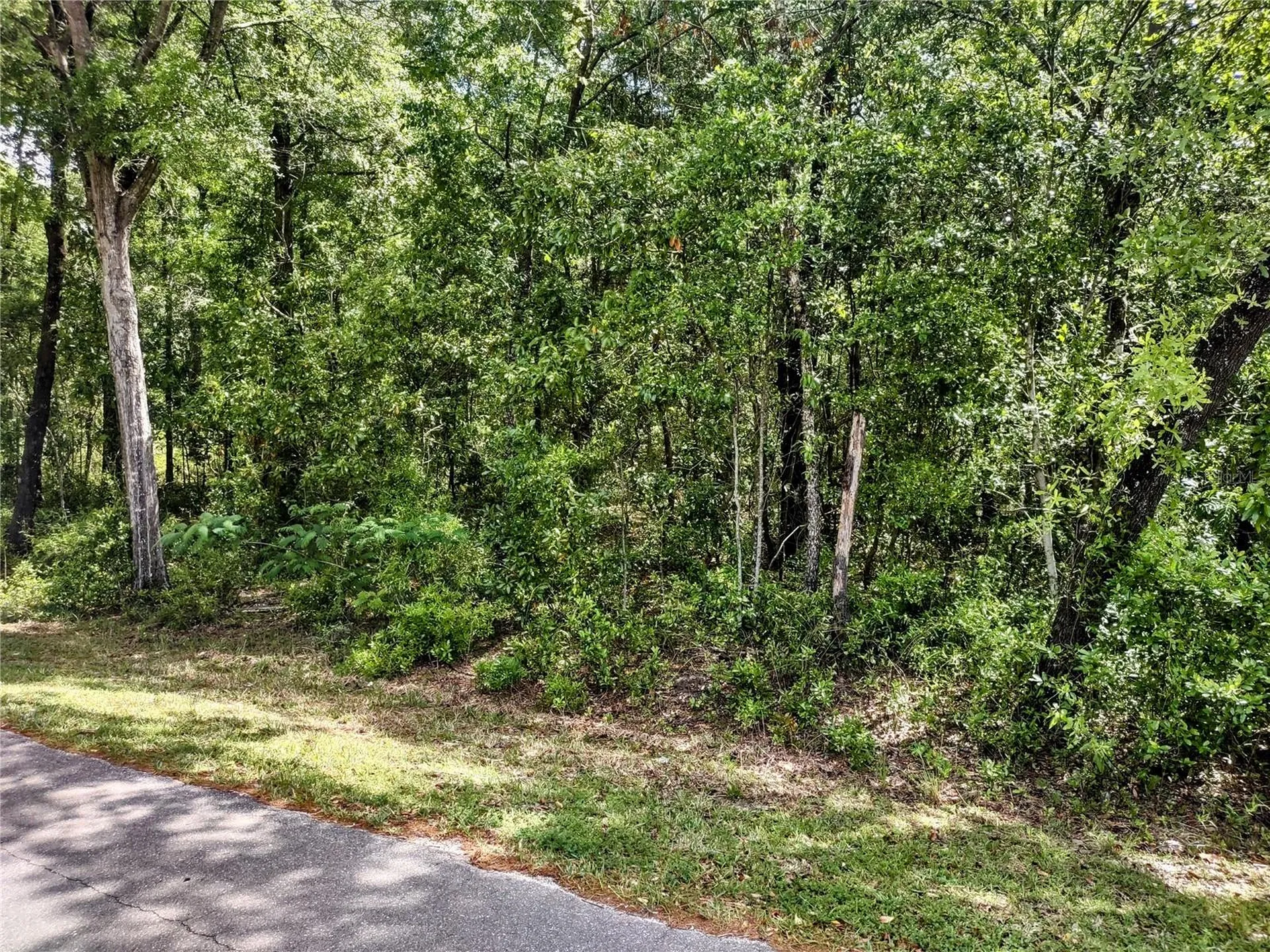 Tbd NE 6th Circle Williston FL 32696