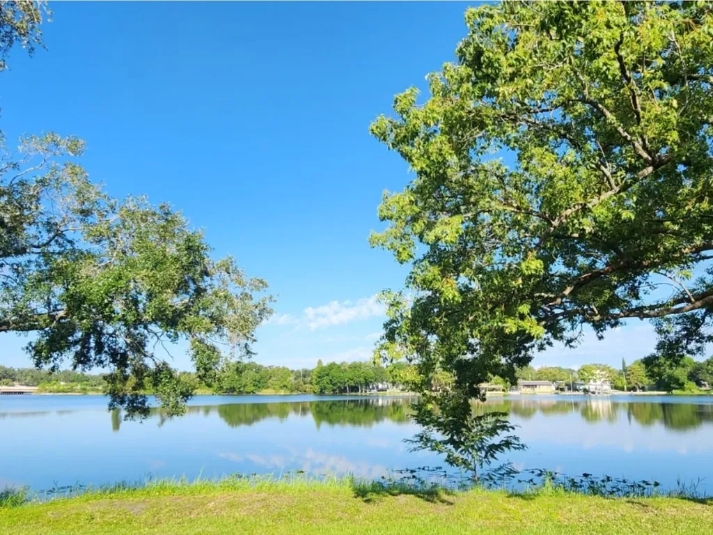 7148 E Bank Drive Tampa FL 33617