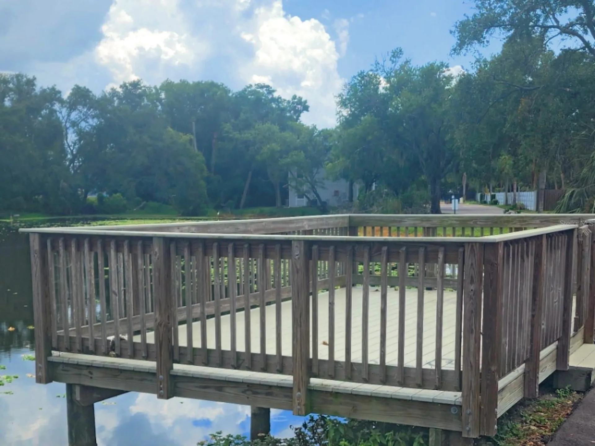 7148 E Bank Drive Tampa FL 33617