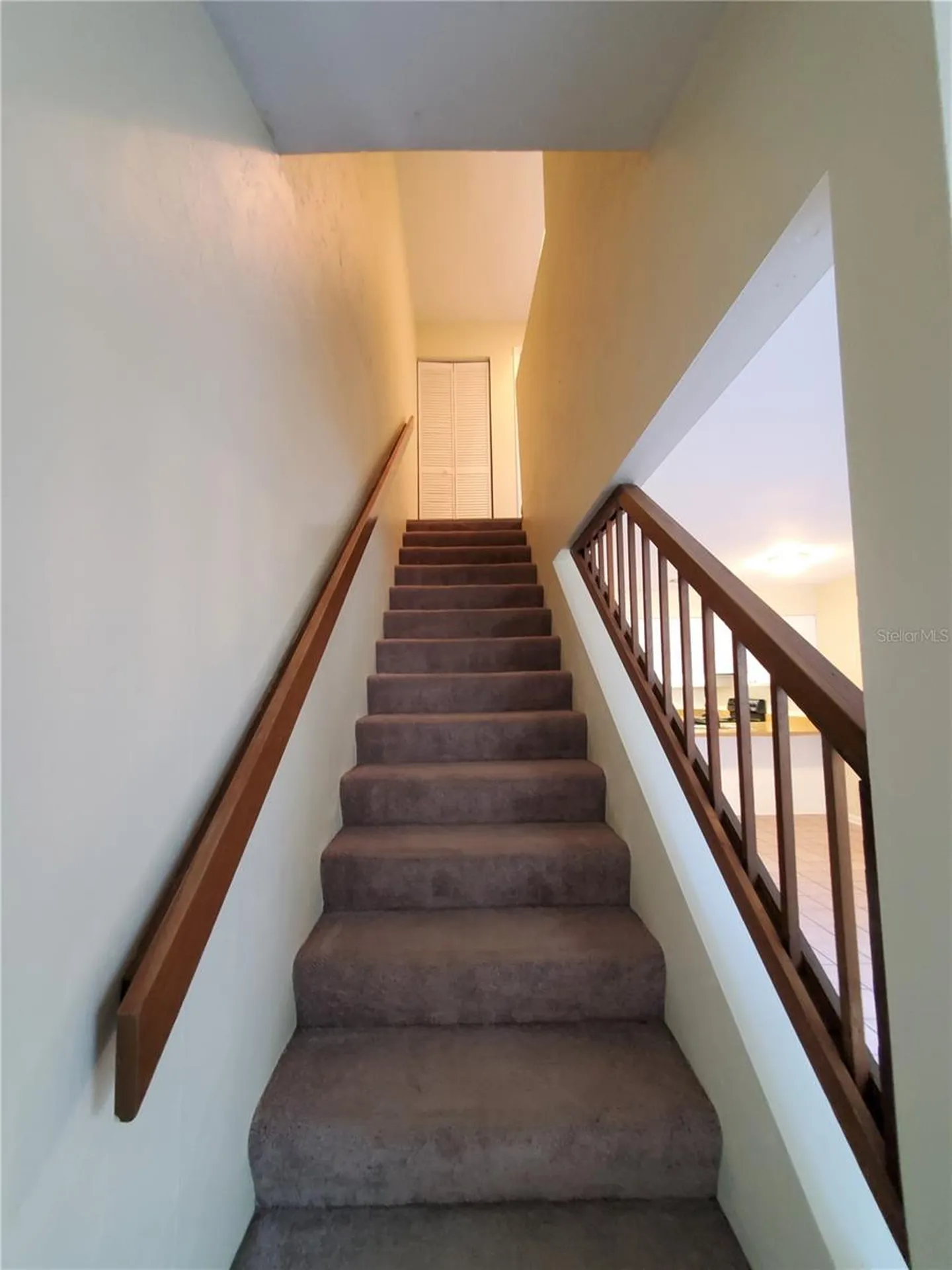2207 SW 39th Drive Gainesville FL 32607