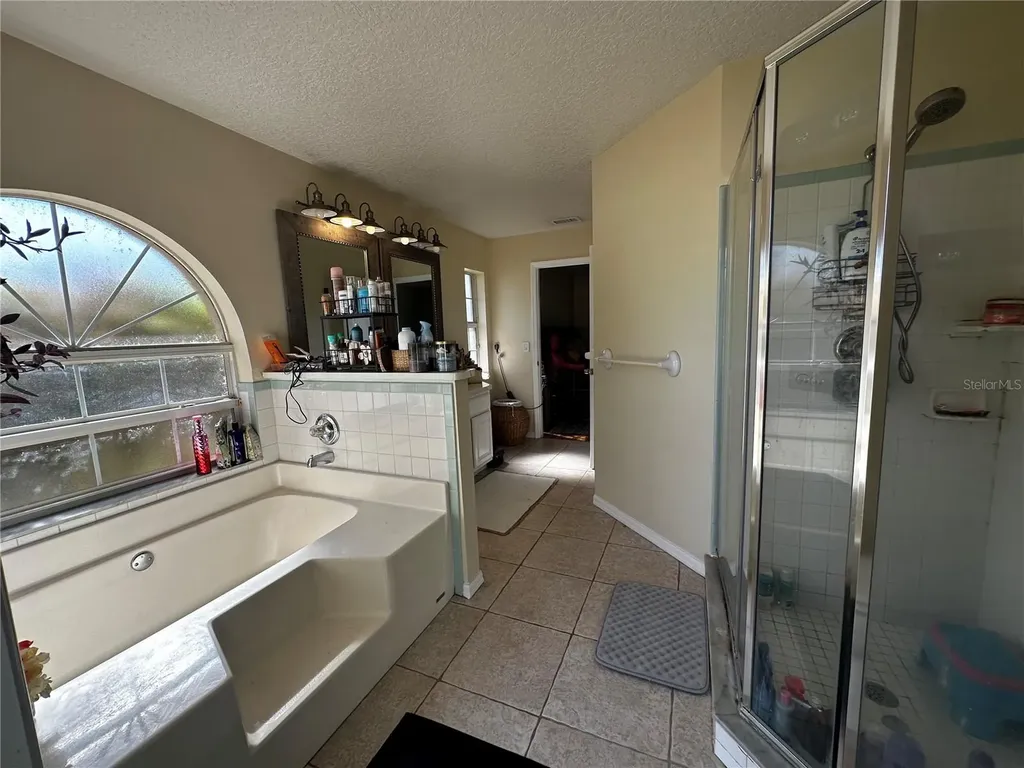 17302 2nd Street Montverde FL 34756