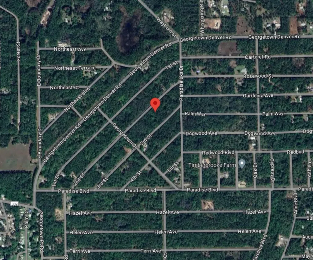 217 SE 2nd Street Georgetown FL 32139