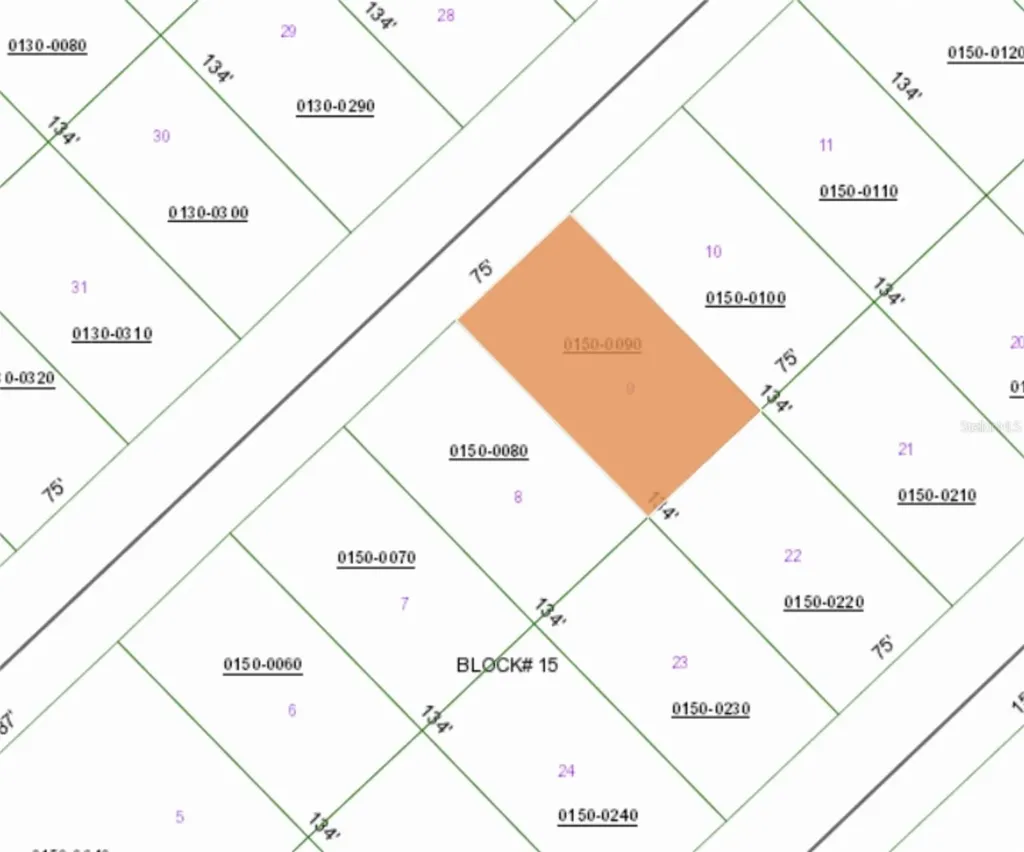 217 SE 2nd Street Georgetown FL 32139