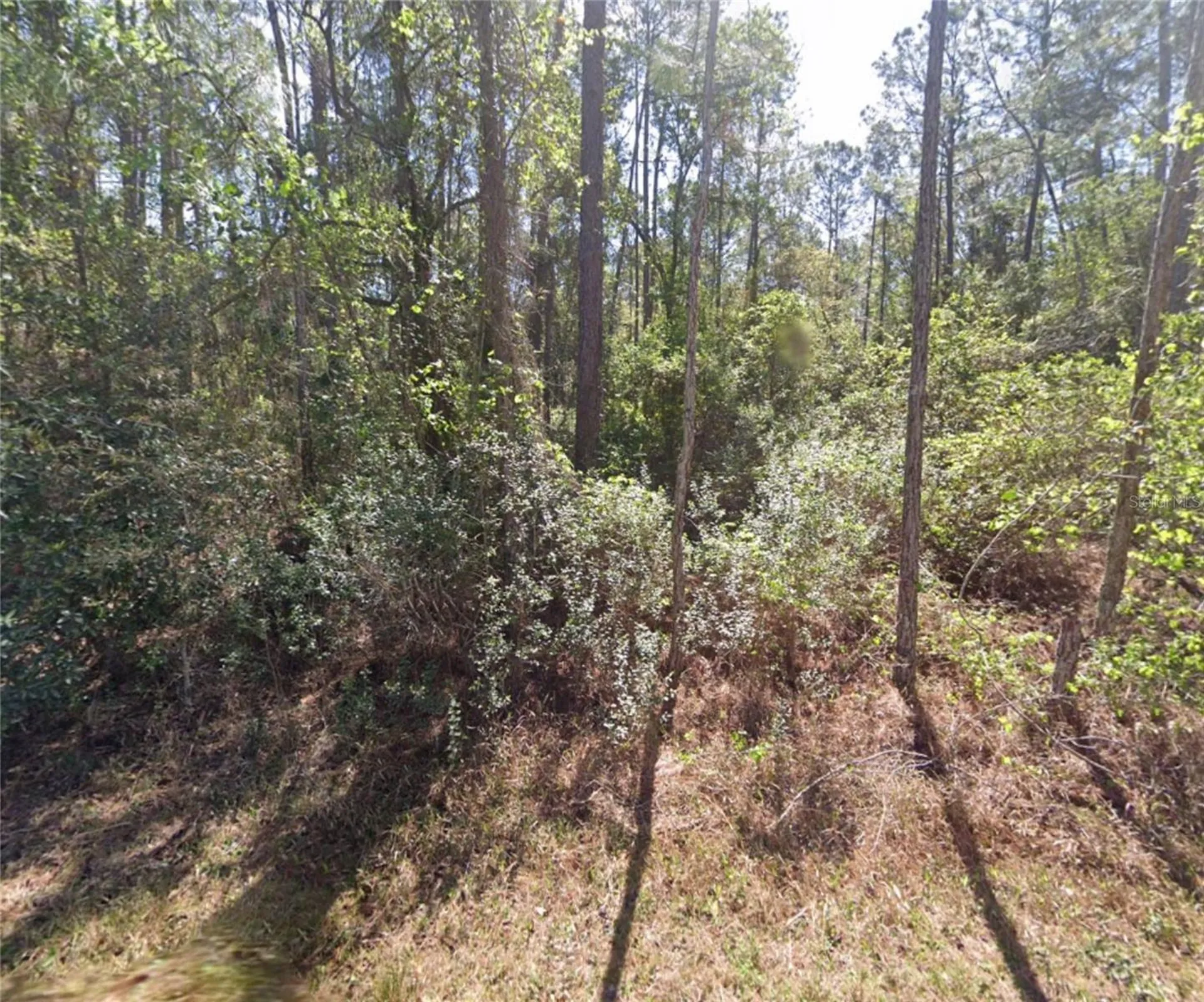 217 SE 2nd Street Georgetown FL 32139