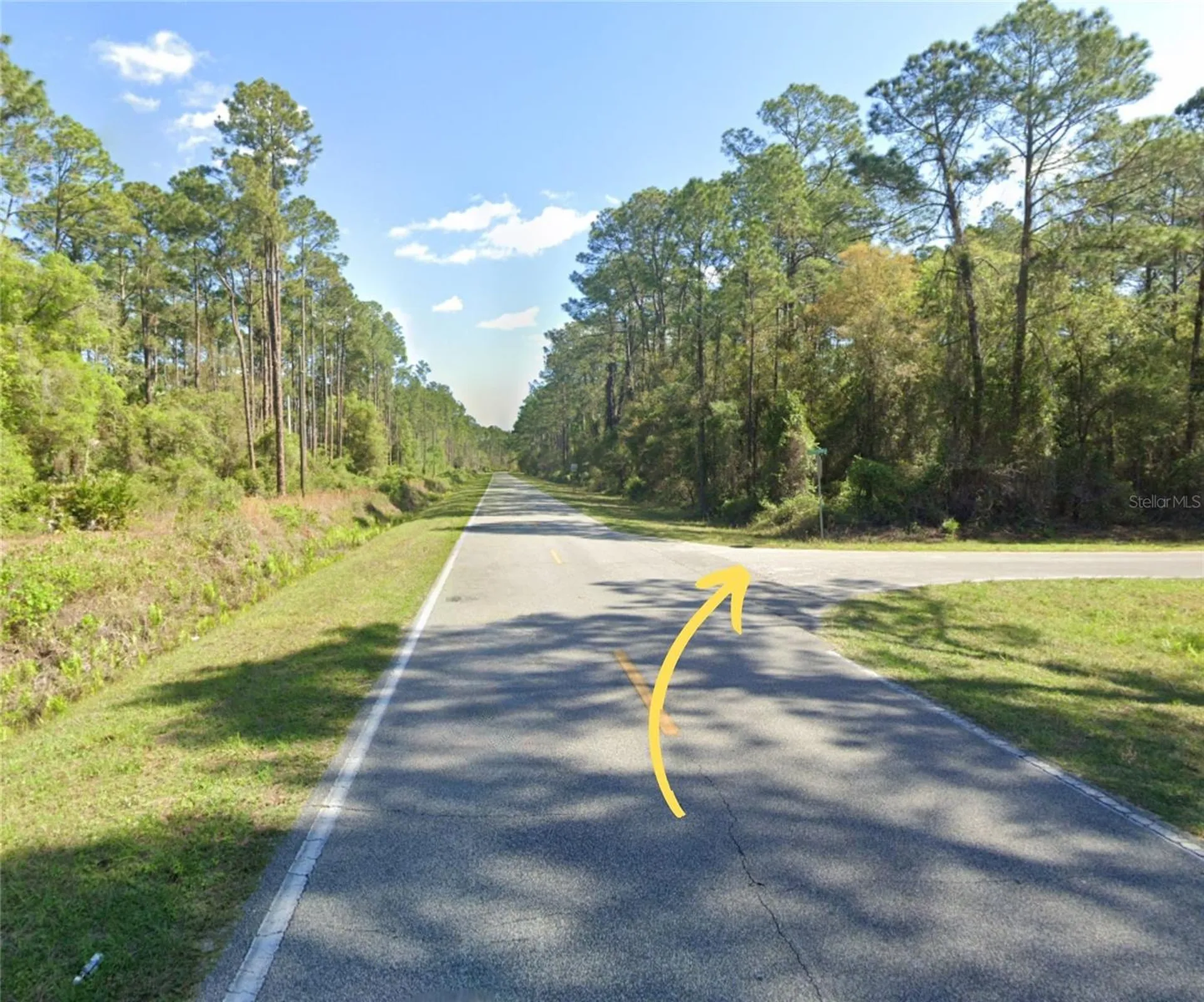 217 SE 2nd Street Georgetown FL 32139