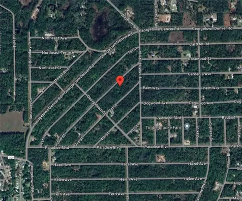 217 SE 2nd Street Georgetown FL 32139