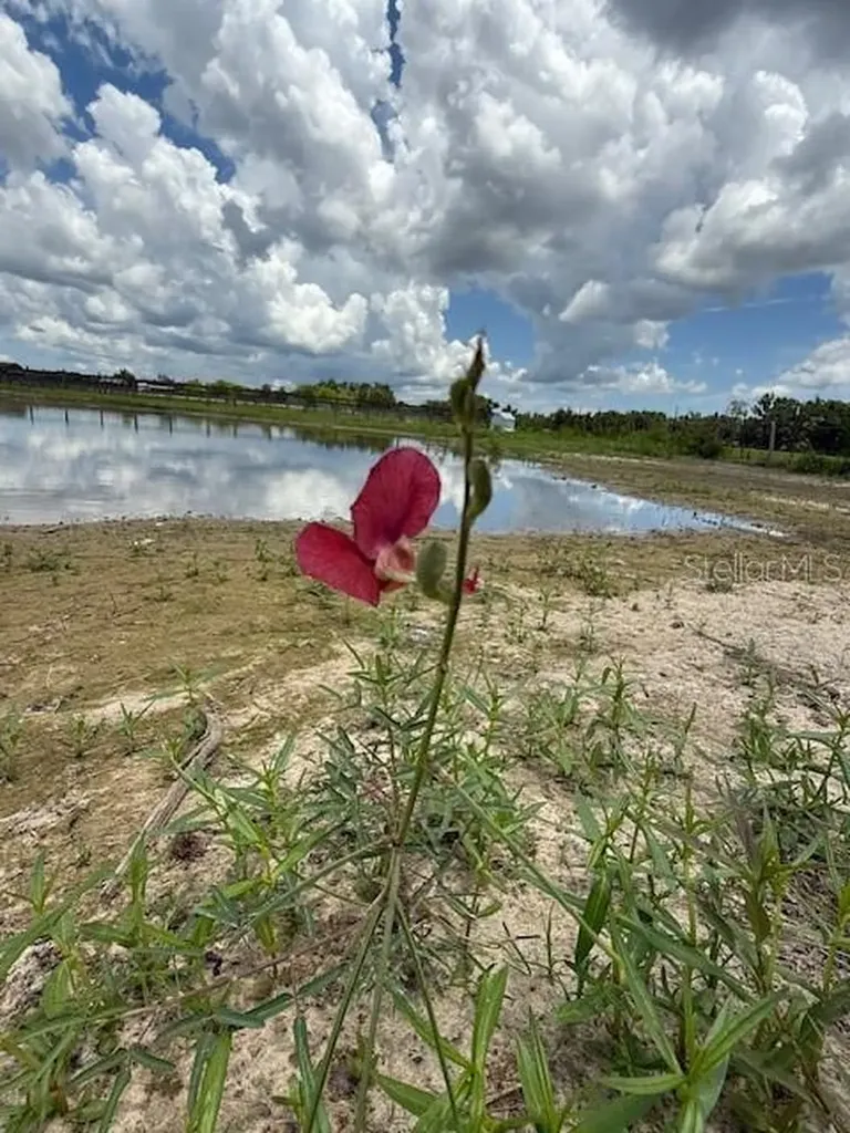 594 E County Road 90 Bunnell FL 32110