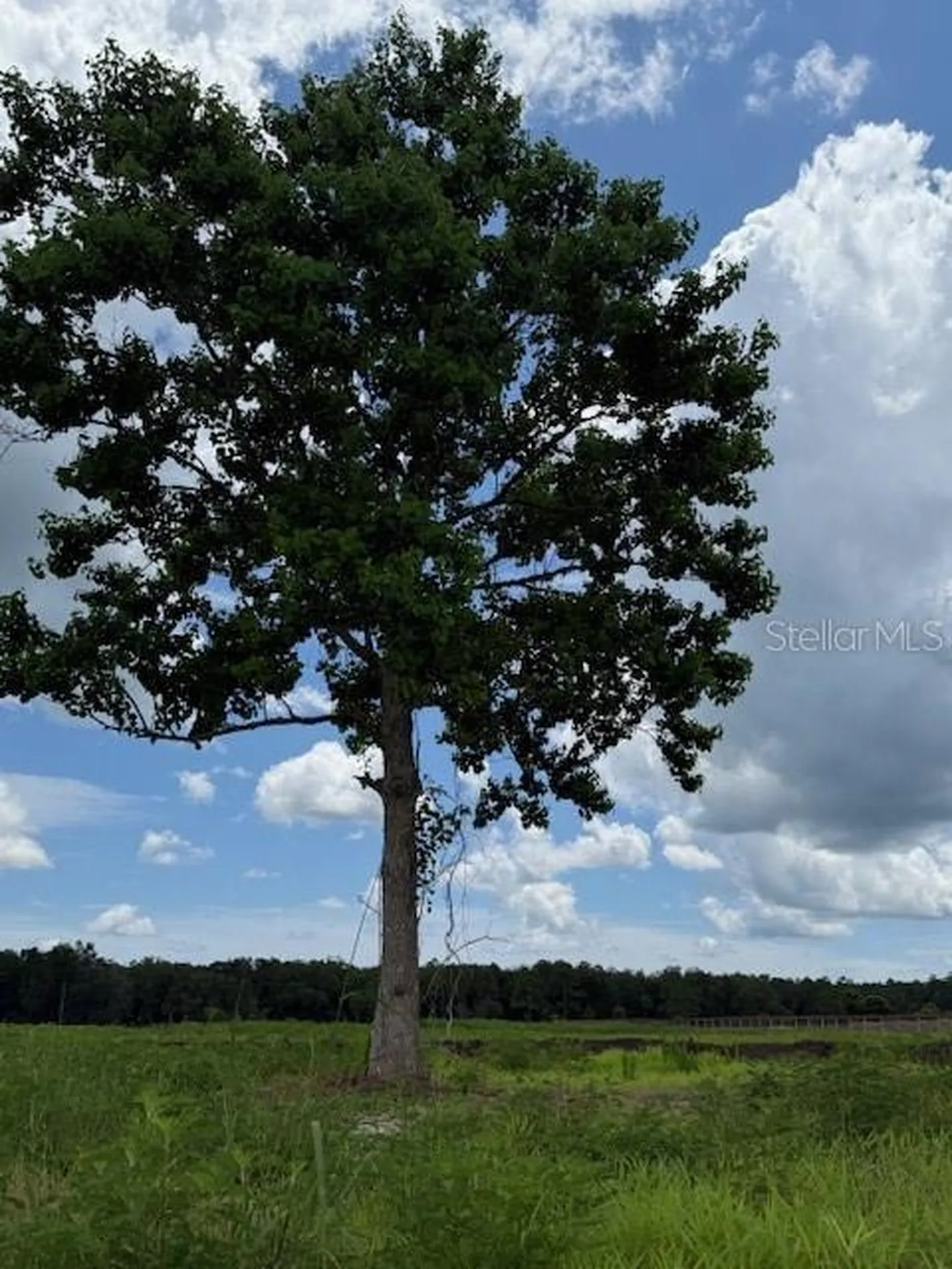 594 E County Road 90 Bunnell FL 32110
