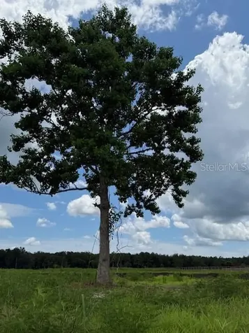 594 E County Road 90 Bunnell FL 32110