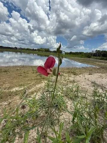 594 E County Road 90 Bunnell FL 32110