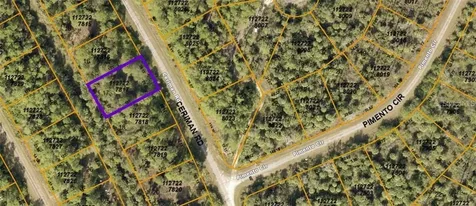 Ceriman Road North Port FL 34288