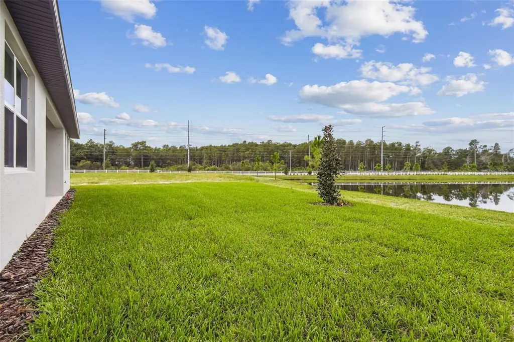 11324 Striped Bass Court New Port Richey FL 34654