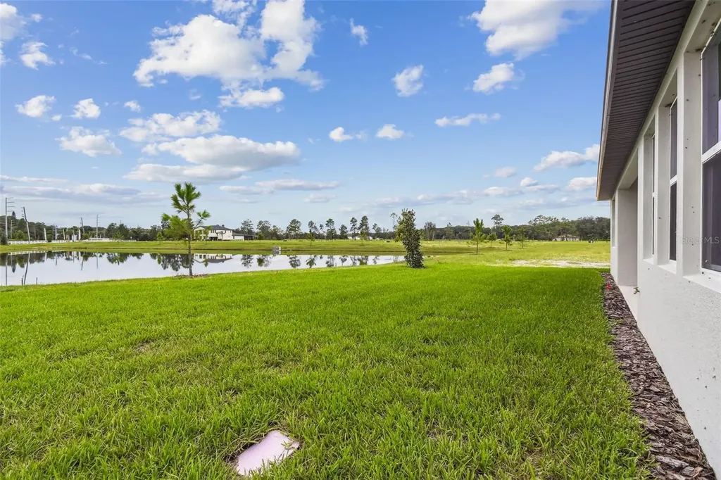 11324 Striped Bass Court New Port Richey FL 34654