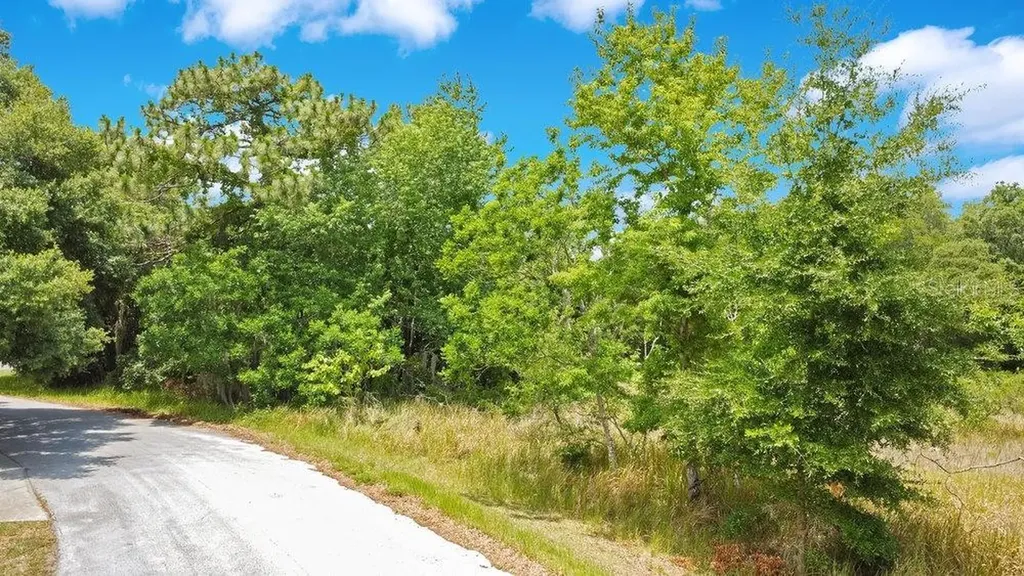 Bahia Road Ocala FL 34472