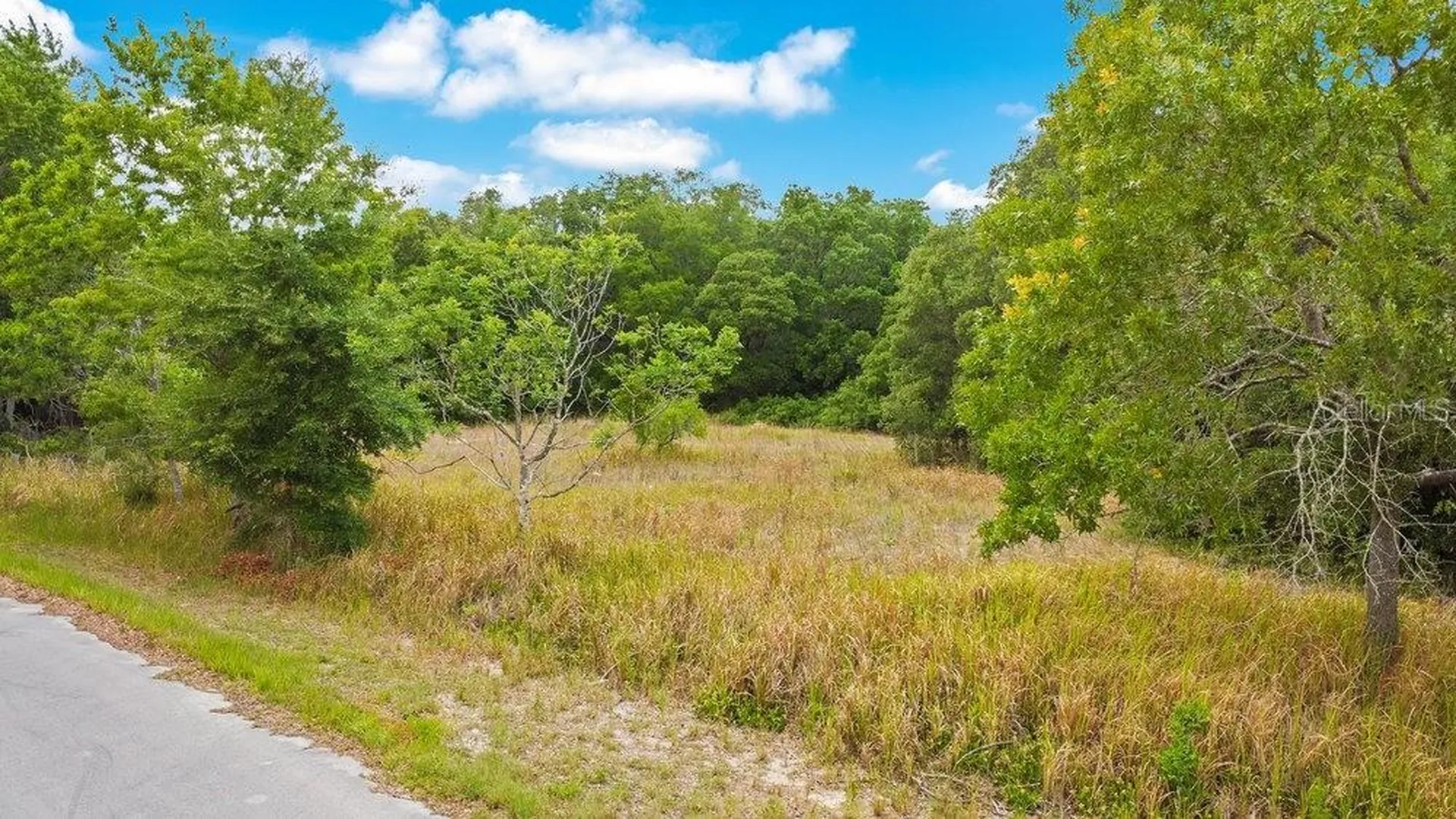 Bahia Road Ocala FL 34472