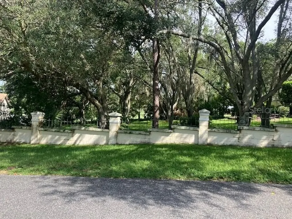 116 W Magnolia Avenue Howey In The Hills FL 34737