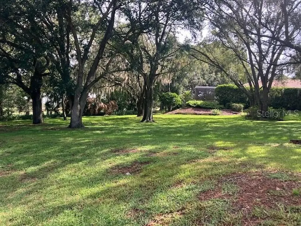 116 W Magnolia Avenue Howey In The Hills FL 34737