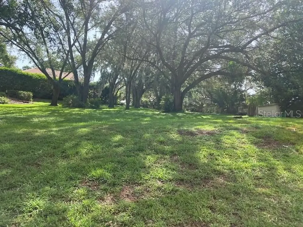 116 W Magnolia Avenue Howey In The Hills FL 34737