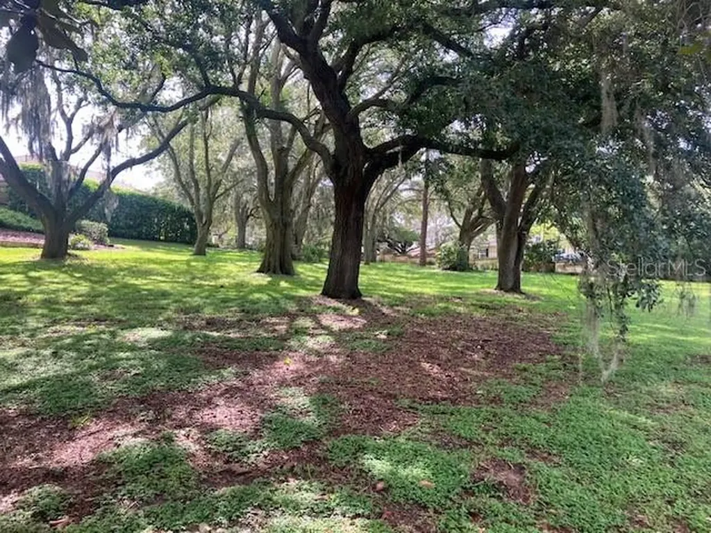 116 W Magnolia Avenue Howey In The Hills FL 34737