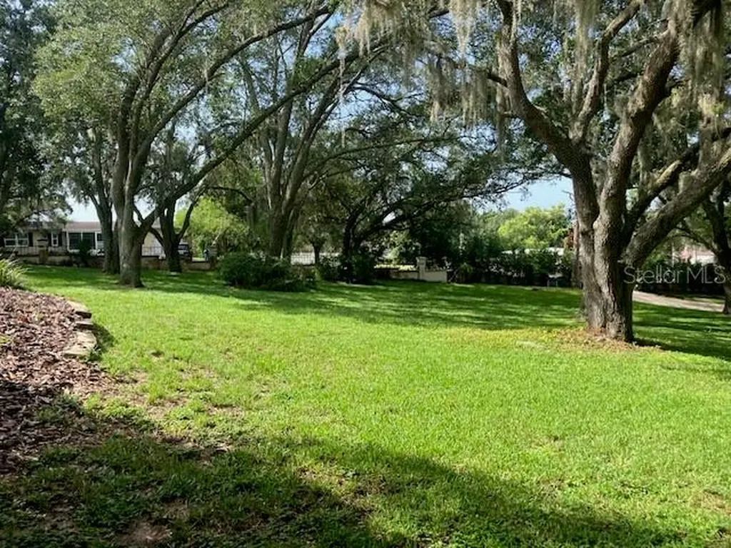 116 W Magnolia Avenue Howey In The Hills FL 34737
