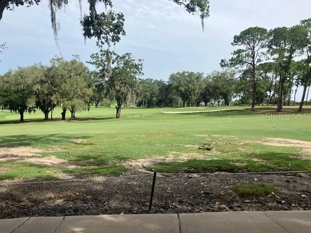 116 W Magnolia Avenue Howey In The Hills FL 34737