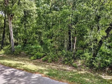 Tbd NE 155th Court Williston FL 32696