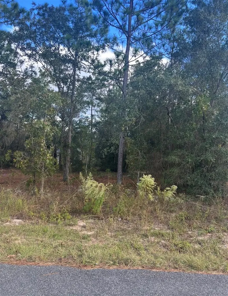 Tbd Locust Loop Place Lot 8 Ocala FL 34472