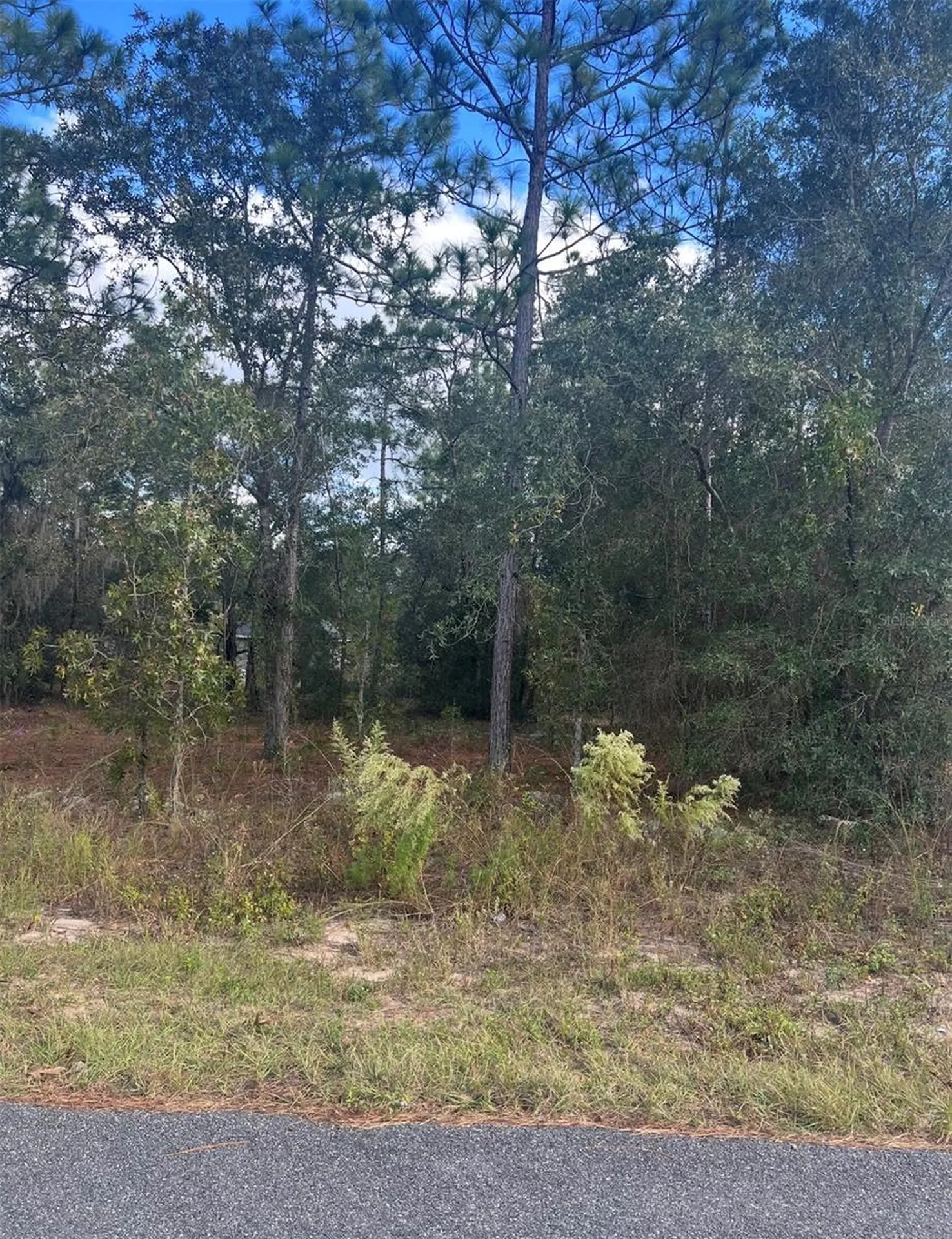 Tbd Locust Loop Place Lot 8 Ocala FL 34472