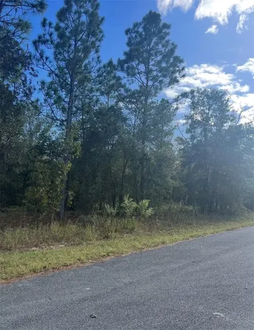 Tbd Locust Loop Place Lot 8 Ocala FL 34472