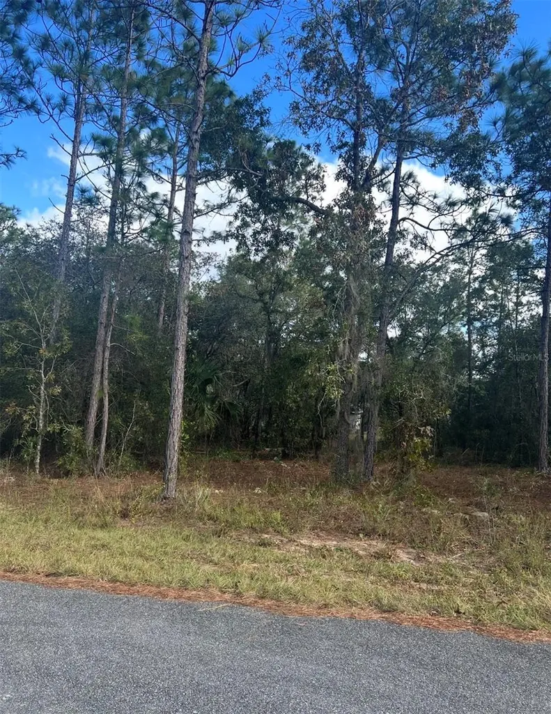 Tbd Locust Loop Place Lot 7 Ocala FL 34472