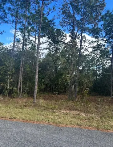 Tbd Locust Loop Place Lot 7 Ocala FL 34472