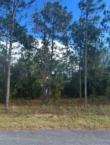 Tbd Locust Loop Place Lot 7 Ocala FL 34472