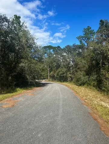 Tbd Locust Loop Place Lot 7 Ocala FL 34472