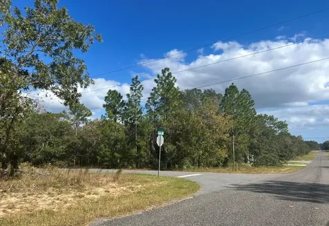 Tbd Locust Loop Place Lot 7 Ocala FL 34472