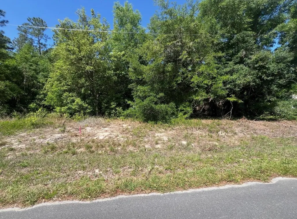 Tbd Locust Course Radial Lot 20 Ocala FL 34472