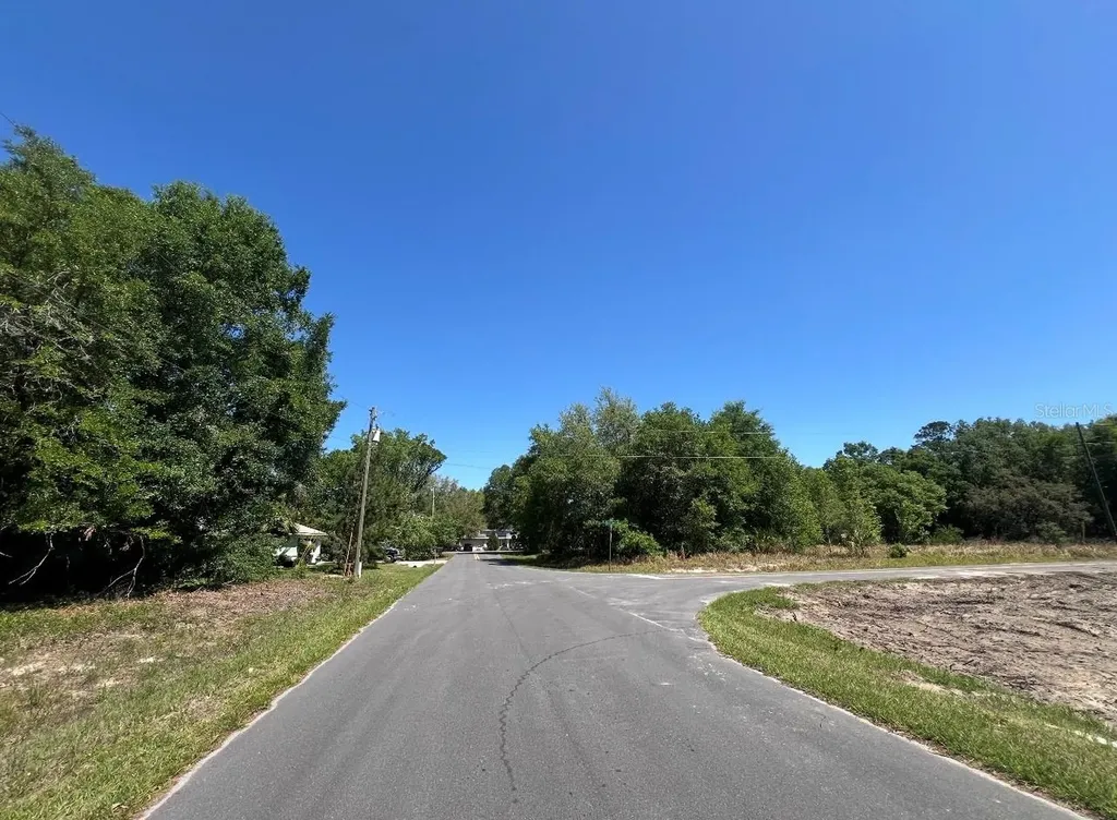 Tbd Locust Course Radial Lot 20 Ocala FL 34472
